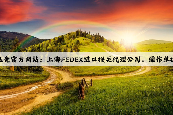 泛亚电竞官方网站：上海FEDEX进口报关代理公司，操作单据要求
