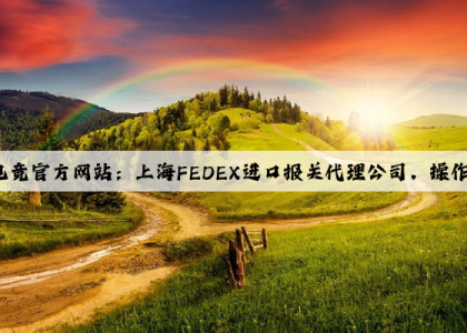 泛亚电竞官方网站：上海FEDEX进口报关代理公司，操作单据要求