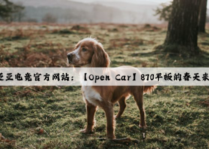 泛亚电竞官方网站：【Open Car】870平板的春天来了。