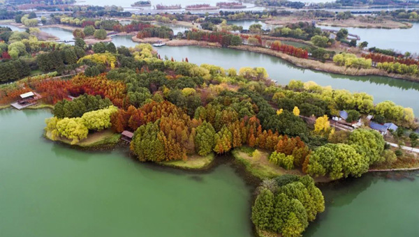 19d89f500c5a9b26b6eec783b752ad89