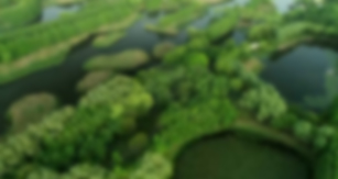 dd5d5286d6e4ac23a15ab8494d9b5af1