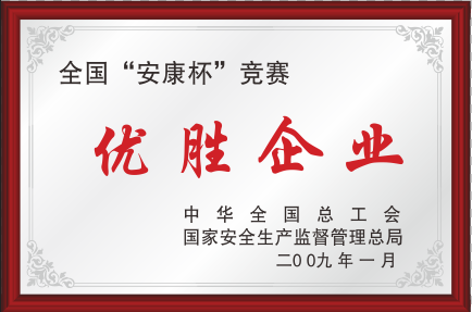 2009��ȫ����������ʤ��ҵ